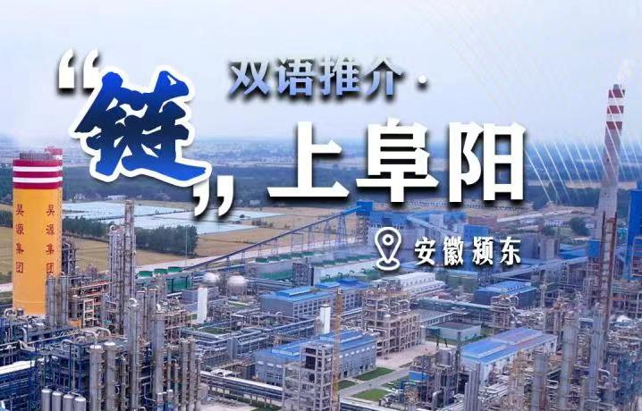 安徽颍东：从传统化工到新材料的升级转型
