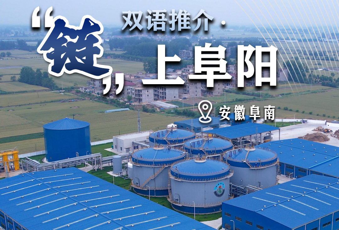 安徽阜南：农牧废弃物综合利用的“阜南样本”